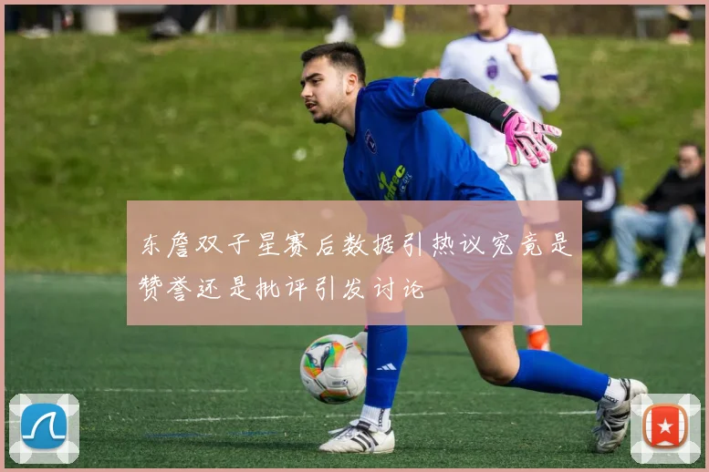 东詹双子星赛后数据引热议究竟是赞誉还是批评引发讨论